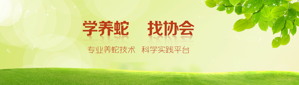 ����Ԫ��